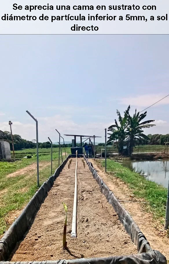 Agroacuicultura Recargada. Imagen 1.