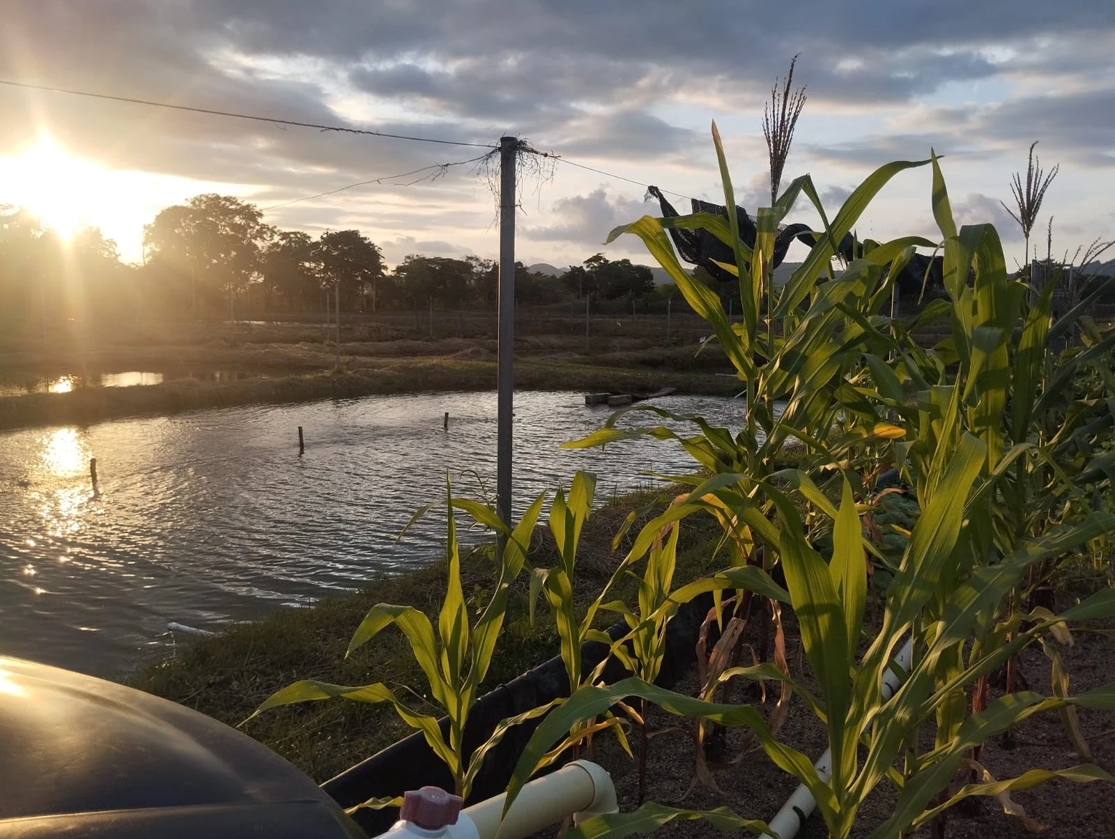 Agroacuicultura Recargada. Imagen 3.