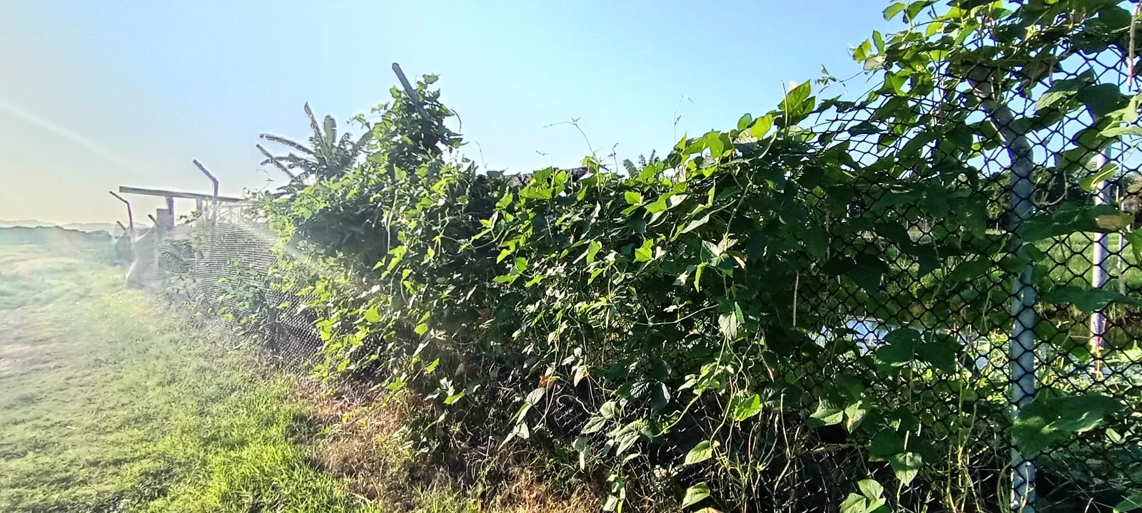 Agroacuicultura Recargada. Imagen 9.