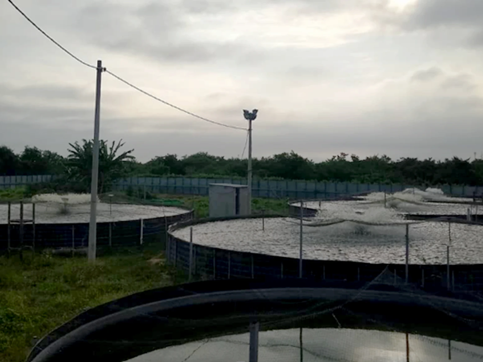 Manejo de producciones acuícolas comerciales, Malambo - Atlántico, 2018. Fotografía 1.